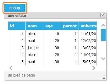 popup - aperçu final