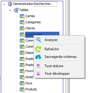 Requêtes - options sur les tables du schéma